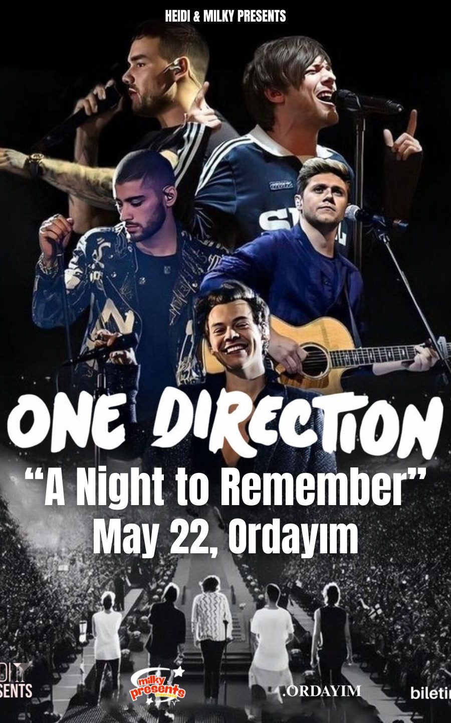 ONE DIRECTION NIGHT (ISTANBUL) - İstanbul