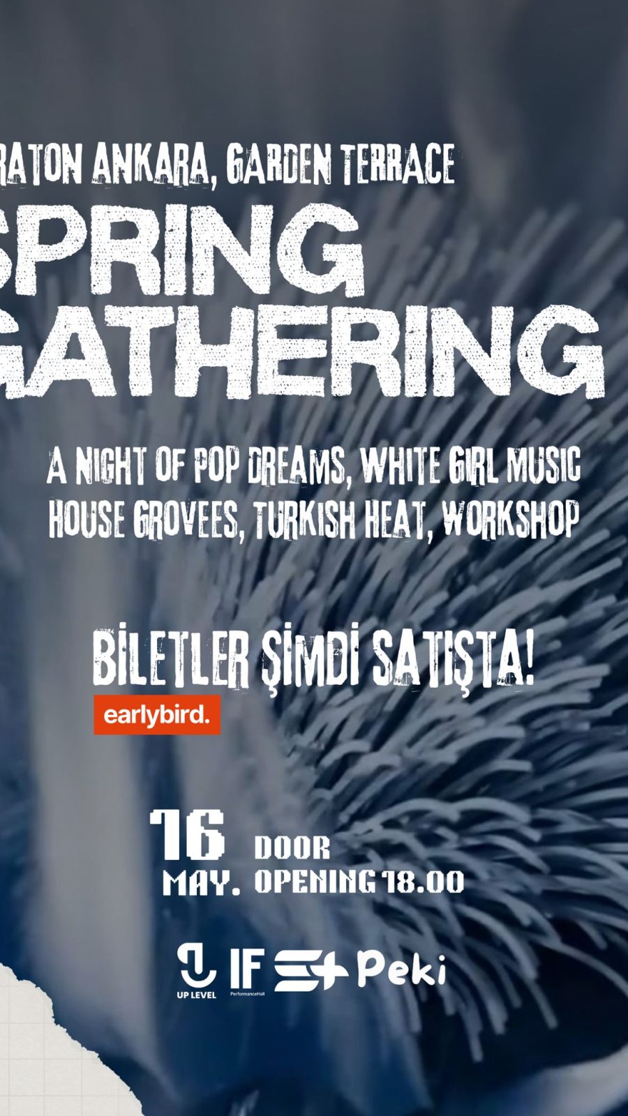 Spring Gathering - Ankara