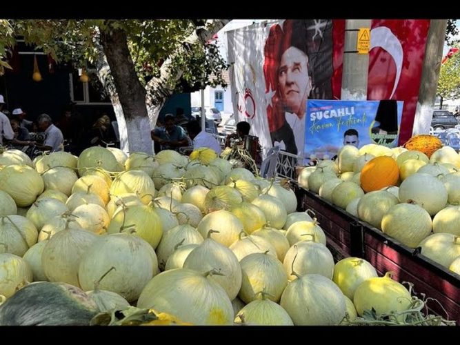 Sucahlı Kavun Festivali görseli - Kınık Belediyesi tarafından düzenlenen Sucahlı Kavun Festivali ağustos…